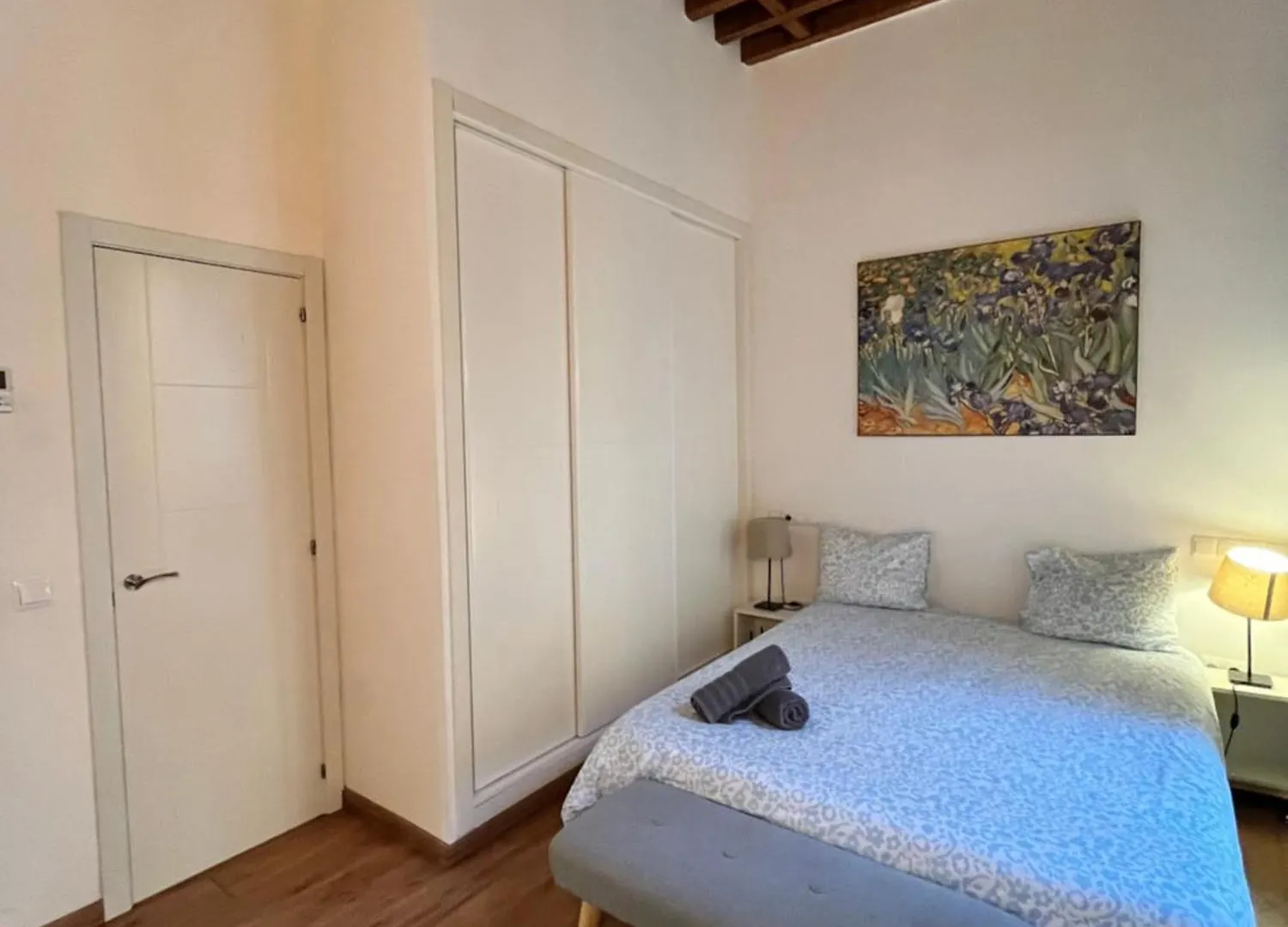 Boutique Larios - Malaga Center Apartment